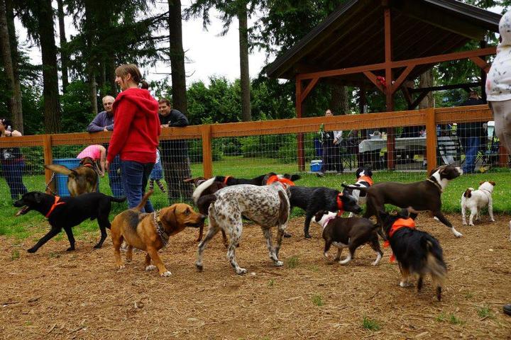 Pet Friendly Dog Park at Eagle Park