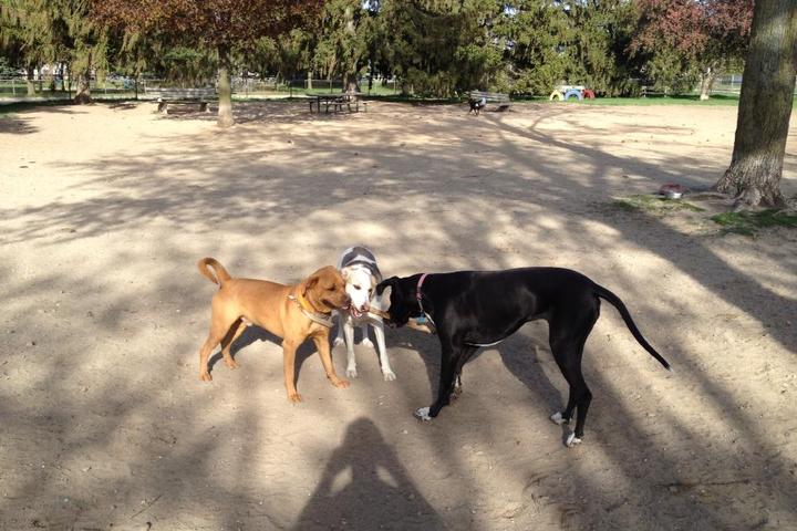 Pet Friendly Behnke Memorial Dog Park