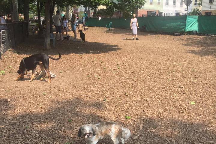 Pet Friendly McGolrick Park Dog Run