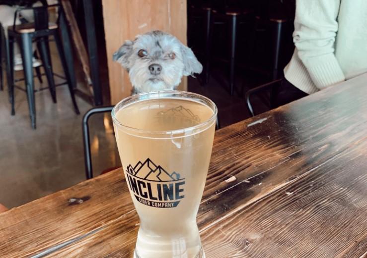 Pet Friendly Incline Cider House