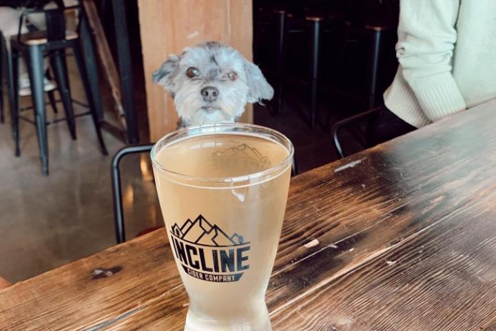Pet Friendly Incline Cider House