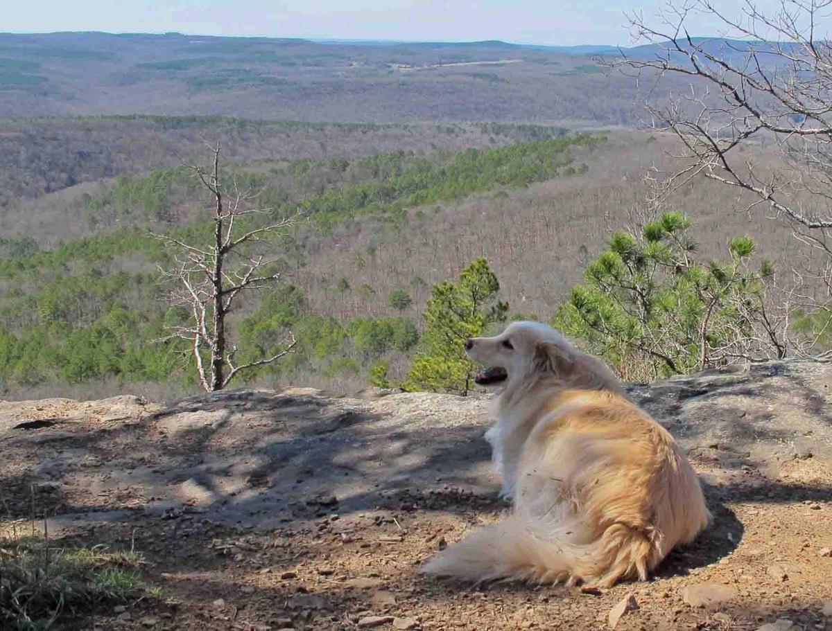 ozark highlands trail