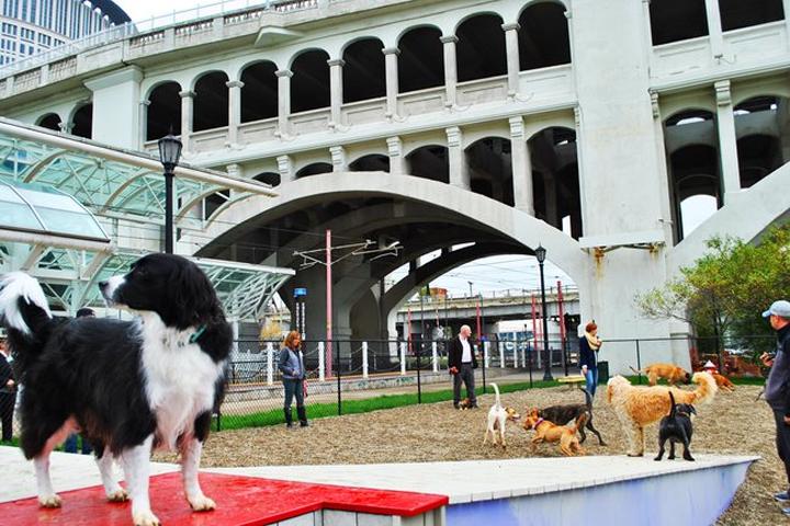 Pet Friendly Downtown Dog Park