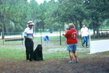 Meet Our Certified Therapy Teams Pawfection Dog Training