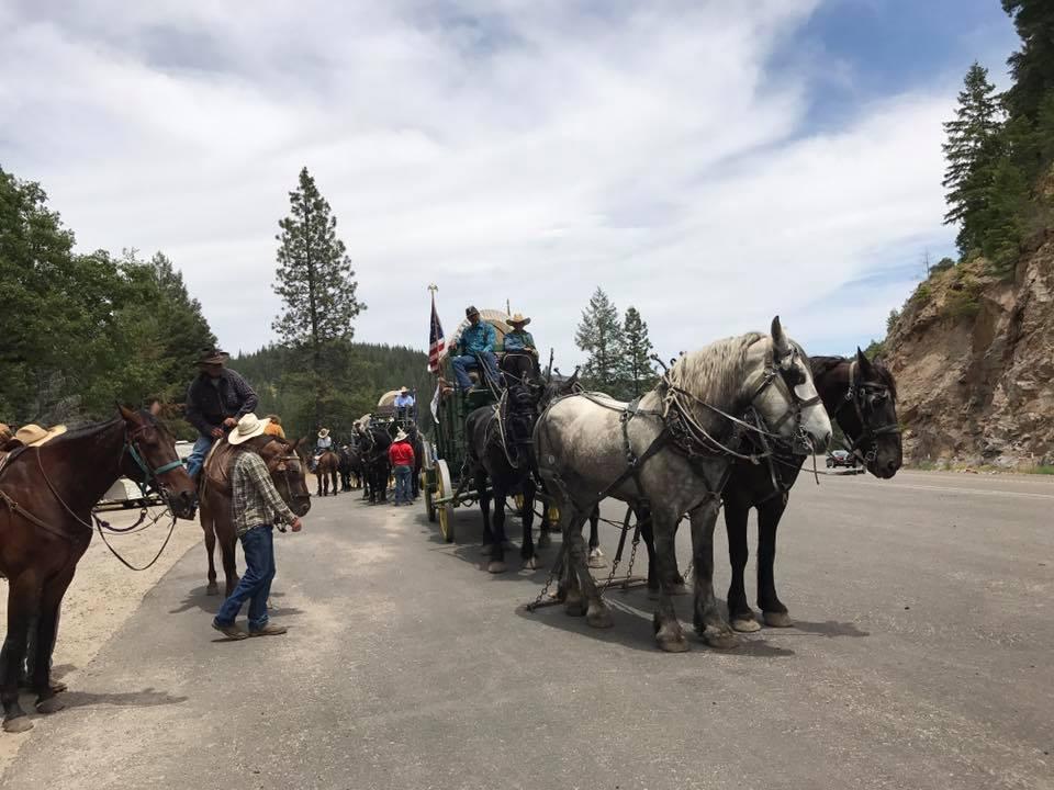 Weddings  Top Hand Ranch Carriage Company