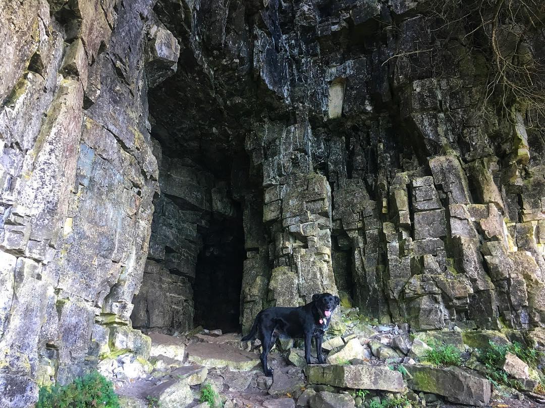 Dog Friendly Hiking Trails In Door County Wi Bringfido