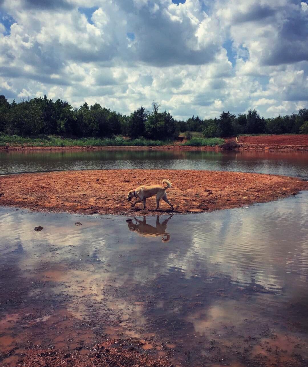 George M. Sutton Wilderness Park