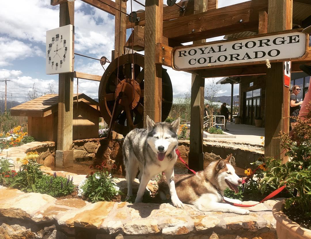 are dogs allowed at the royal gorge
