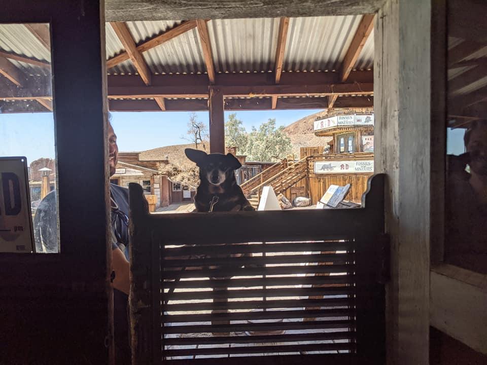 Pet Friendly Calico Ghost Town