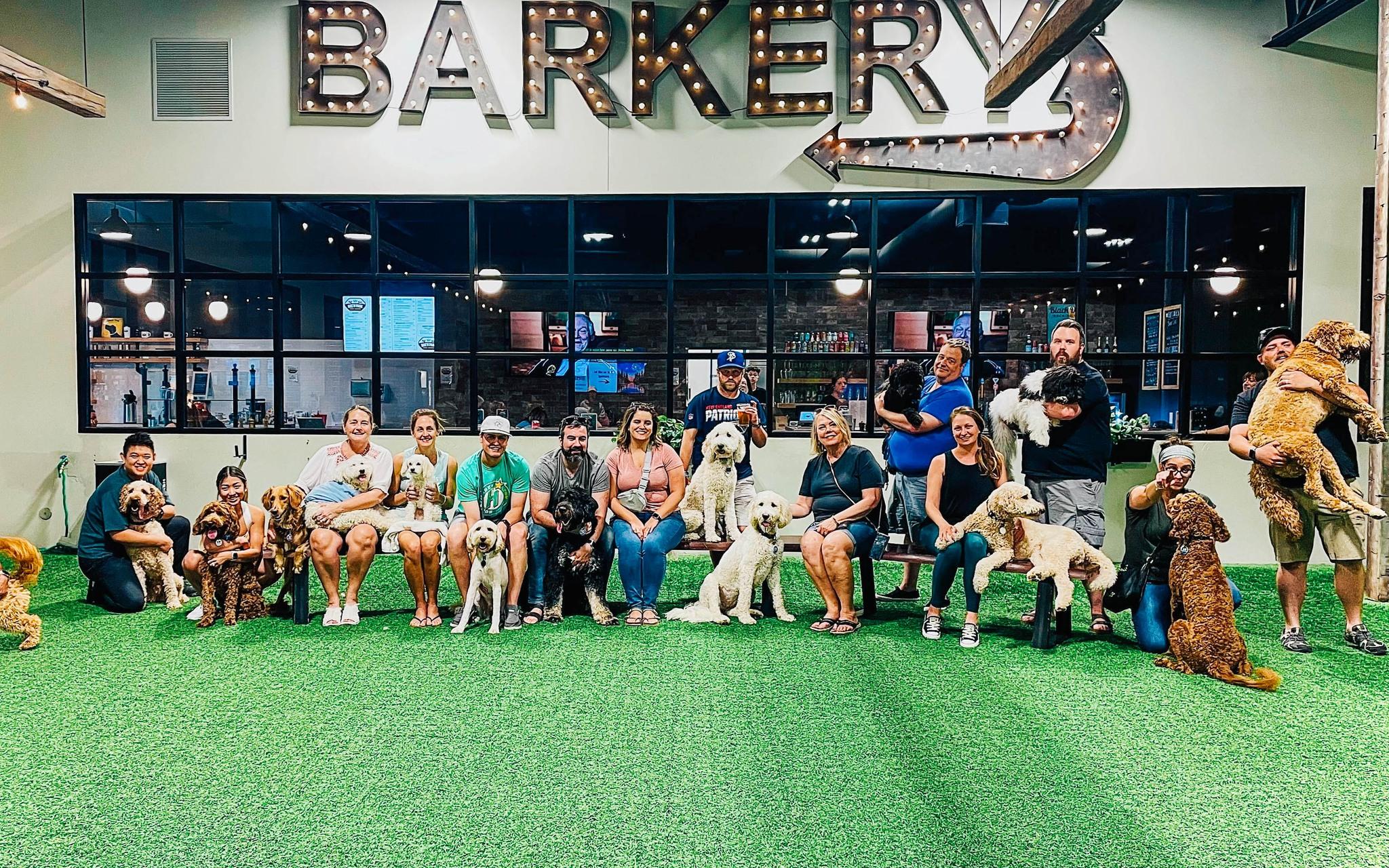 Pet Friendly Brew Park