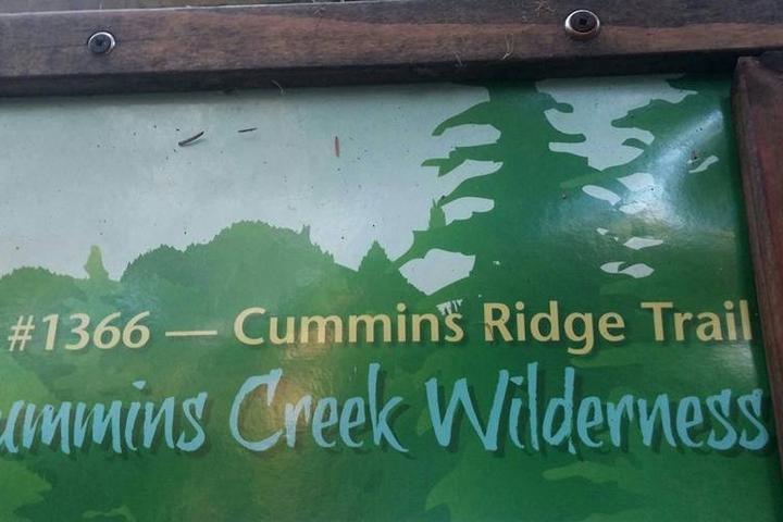 Pet Friendly Cummins Ridge to Gwynn Creek Trail