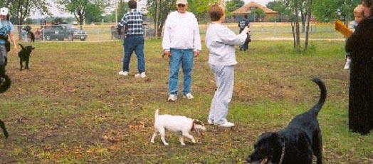 Picture of Hound Town Dog Park, a dog friendly attraction in Crystal Lake. Picture of Hound Town Dog Park, a dog friendly attraction in Crystal Lake.