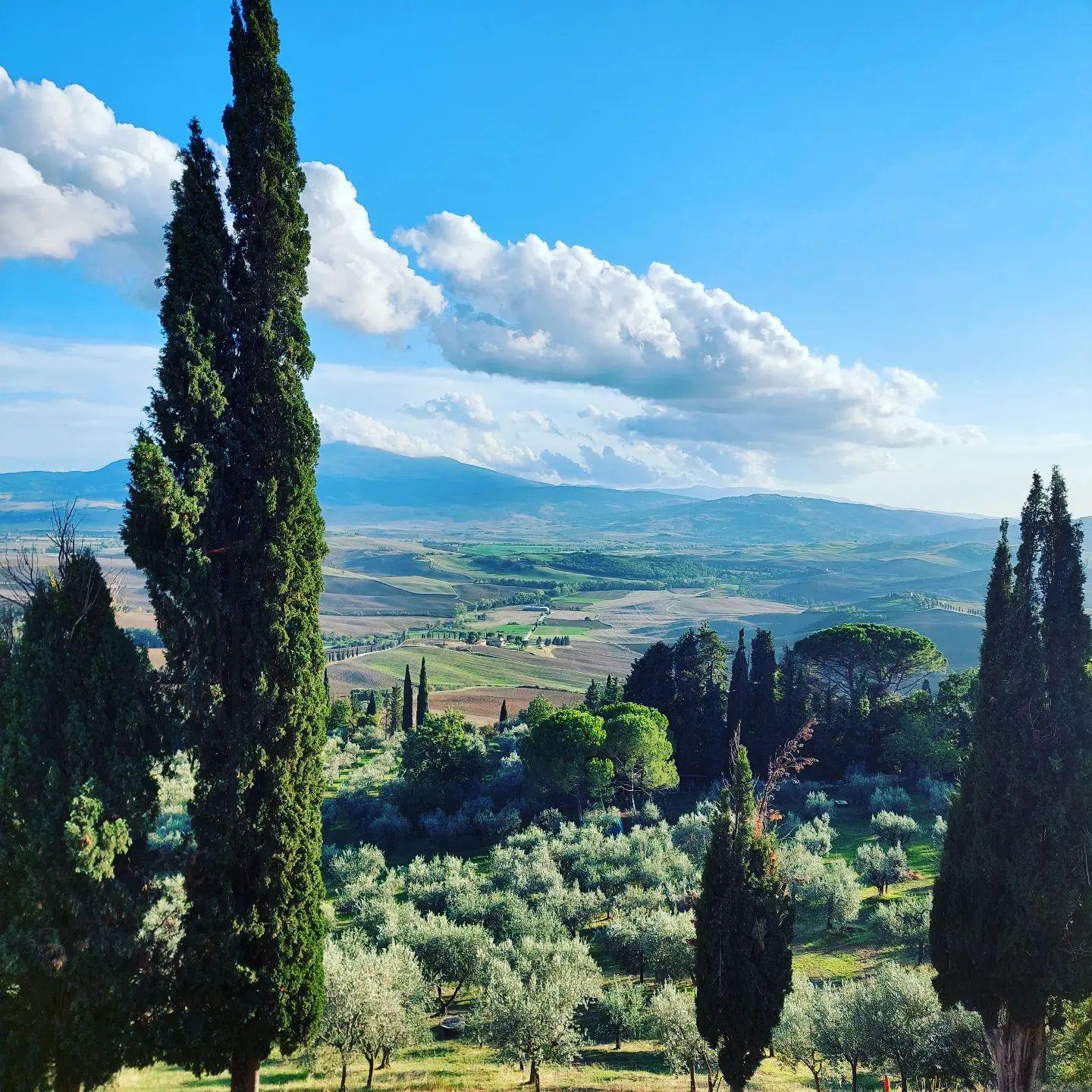 Pet Friendly Italy Unfiltered - Wine Tours for Dog People