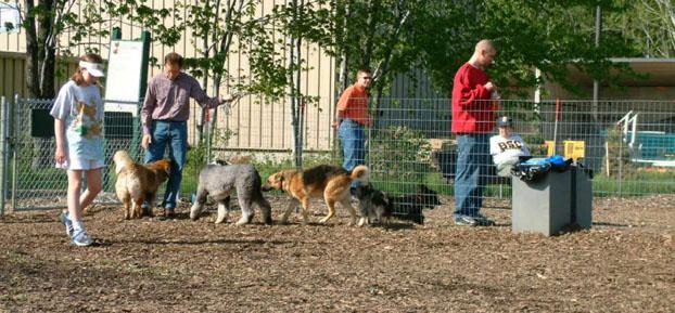 Pet Friendly Mentor Dog Park