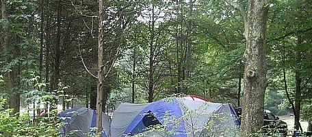 Picture of Salt Rock State Park, a dog friendly attraction in Baltic. Picture of Salt Rock State Park, a dog friendly attraction in Baltic.