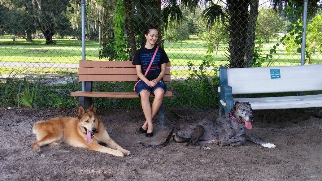 Pet Friendly Letty Towles Dog Park