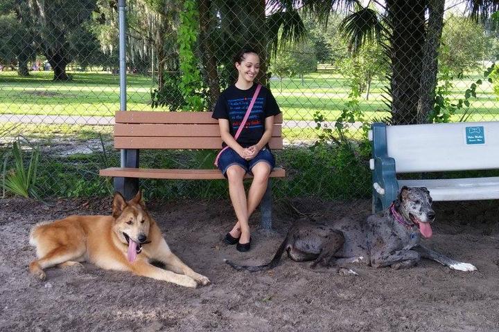 Pet Friendly Letty Towles Dog Park