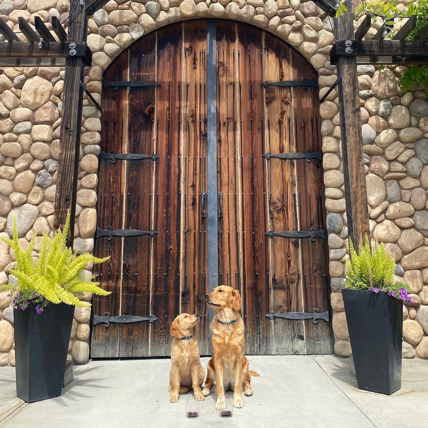 Pet Friendly Page Mill Winery