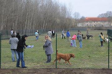 Off Leash Dog Parks In Germany Bringfido
