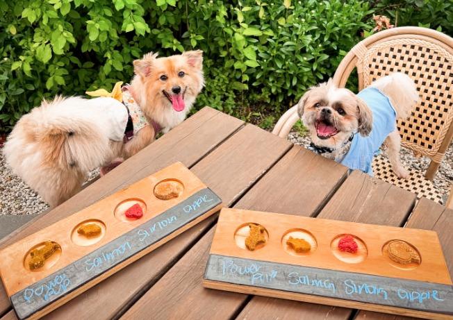 Dog Friendly Activities: Unleash Fun Adventures