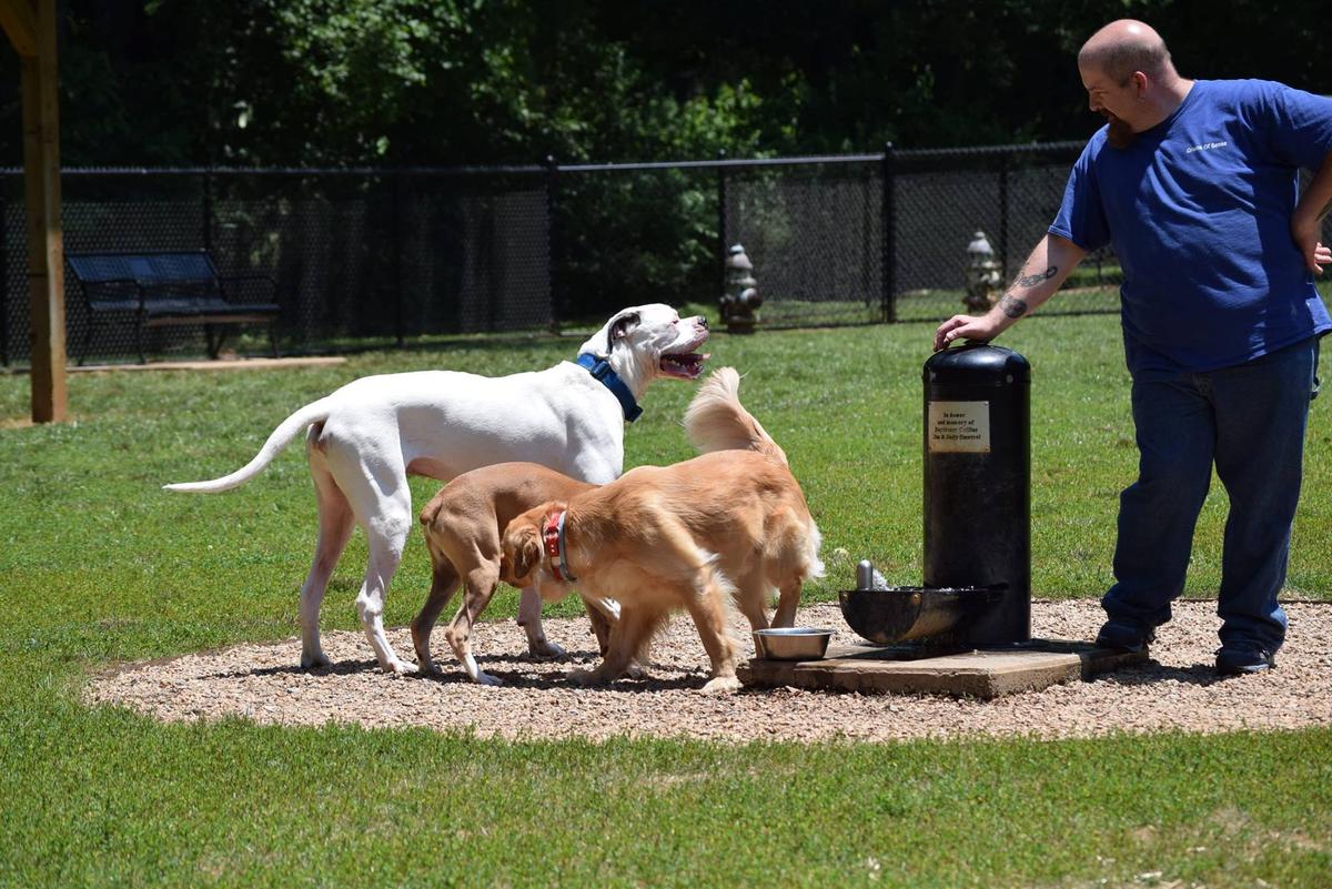 Blackwater Creek Dog Park