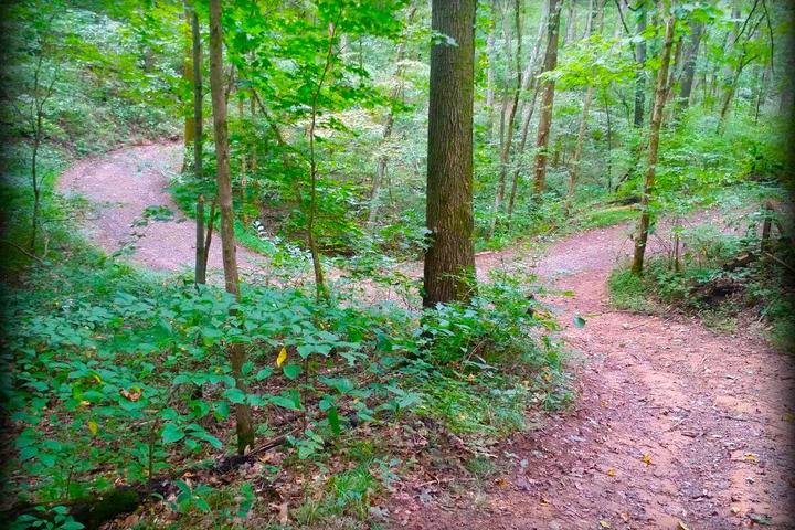 Dog Friendly Hiking Trails In Tennessee Bring Fido Dog Friendly Hiking Trails In Tennessee Bring Fido