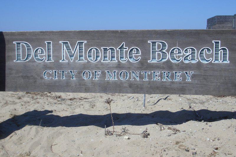 Pet Friendly Del Monte Beach