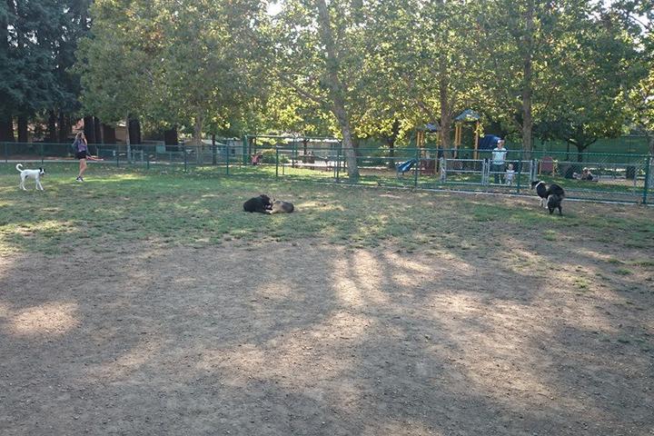 Pet Friendly Willow Oaks Dog Park
