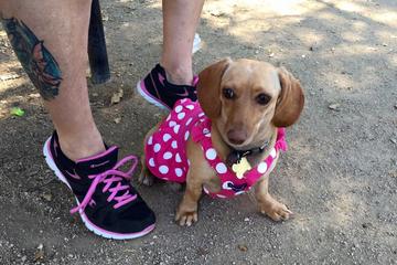 Fenced Dog Parks In Portland Or Petswelcome Com