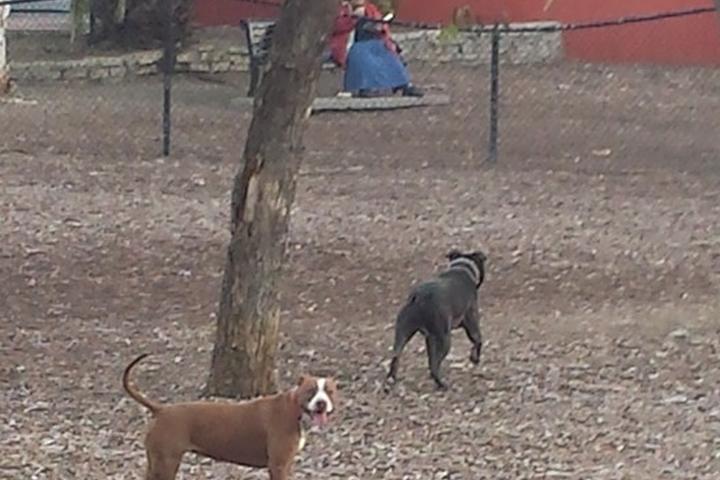 Pet Friendly Wrigley Heights Dog Park