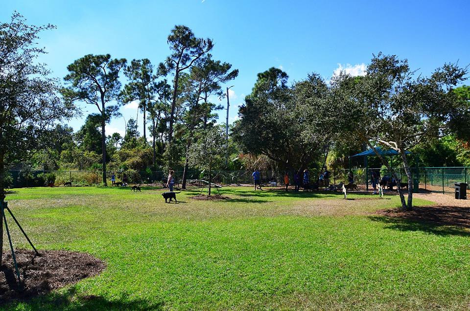 Lyngate Park And Dog Park