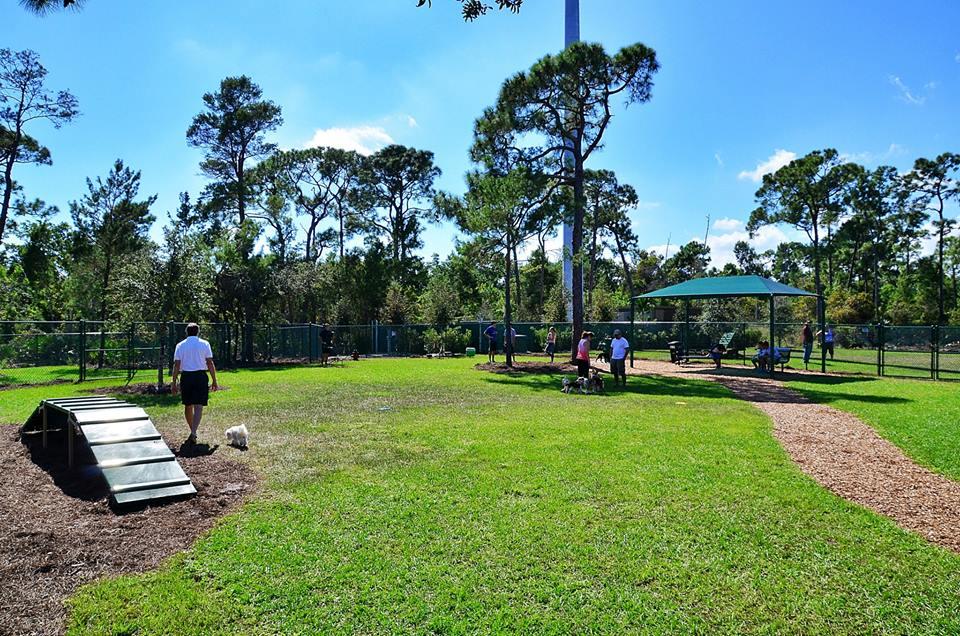 Lyngate Park And Dog Park