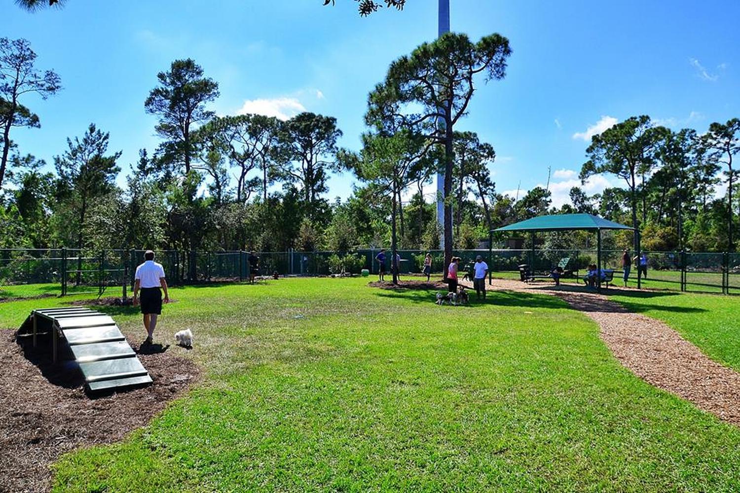 Lyngate Park And Dog Park Lyngate Park And Dog Park