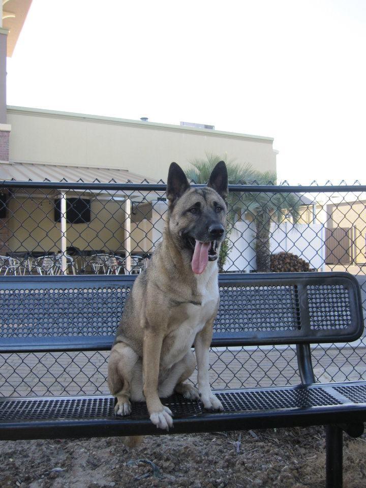 Liza Jackson Dog Park