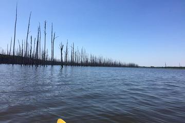 Cane Creek State Park