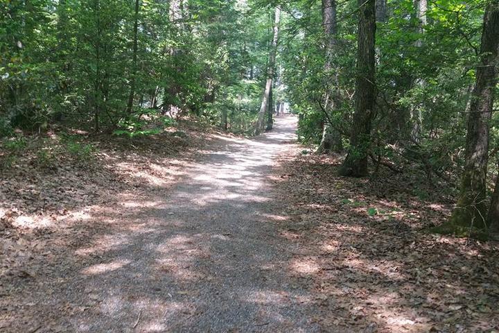 Pet Friendly Bigelow Hollow State Park & Nipmuck State Forest