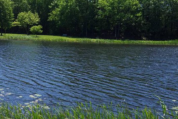 Dog Friendly Hiking Trails In Watertown Ct Bringfido