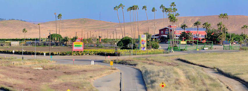 Dog Friendly Shopping in Bakersfield, CA BringFido
