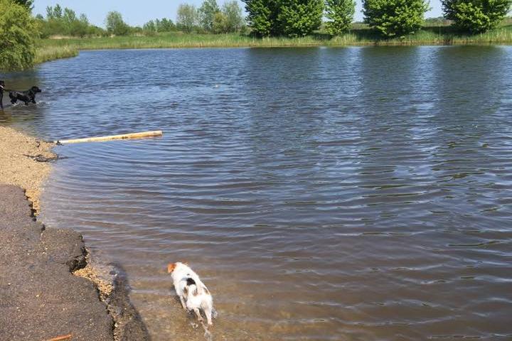 Pet Friendly Batavia Bark Park