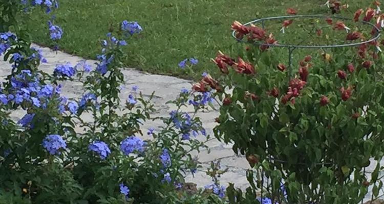 Ravine Gardens State Park