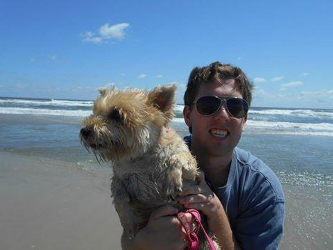 are dogs allowed on wildwood nj boardwalk