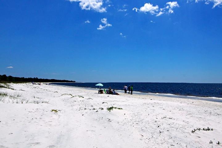 Pet Friendly Carrabelle Beach