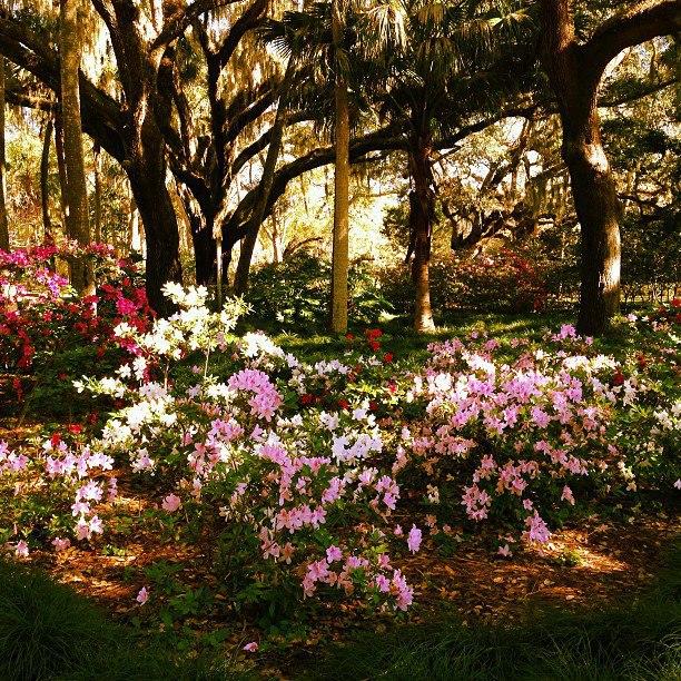 Washington Oaks Gardens State Park
