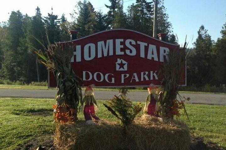 Pet Friendly Homestar dog park