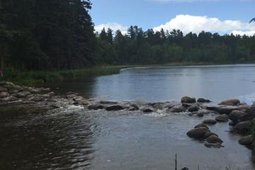 Dog Friendly Activities In Lake Itasca Mn Bringfido