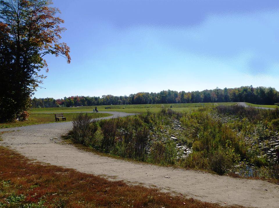 fenced dog park kanata