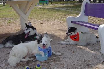 Bedford Bark Park