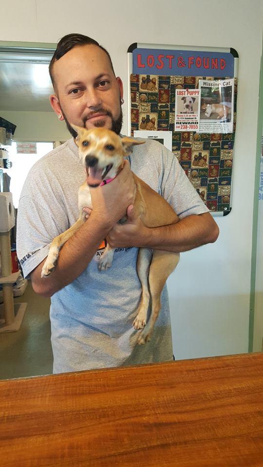 kona leash dog model