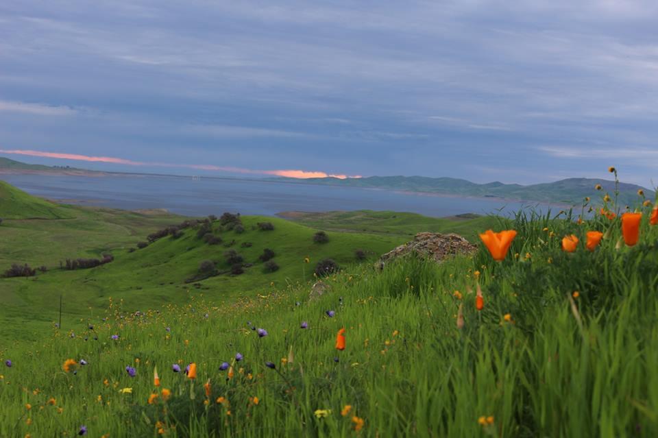 Yucaipa Regional Park