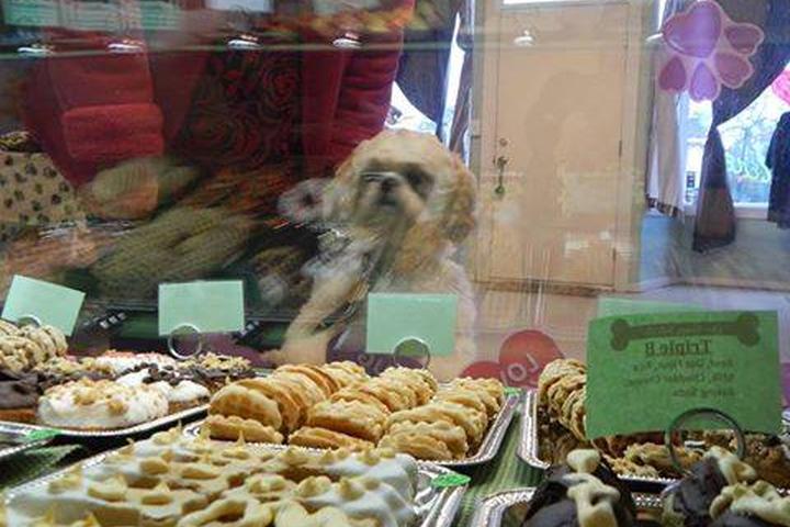 Pet Friendly Our Happy Tails Etc Dog Bakery